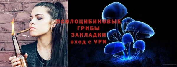 стафф Алексеевка