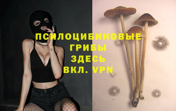 гашиш Алексин