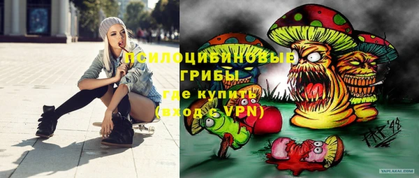 стафф Алексеевка