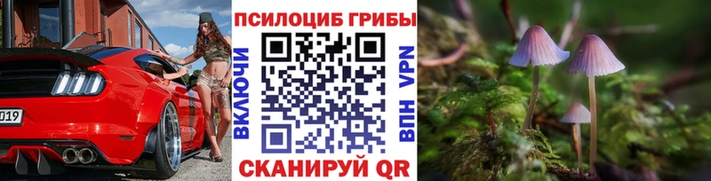 Галлюциногенные грибы мухоморы  купить наркоту  Краснообск 